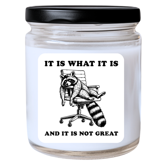 It Is What It Is and It Is Not Great Candle | Snarky & Honest | Handpoured Soy Wax | Phthalate-Free | Melted Misfits Collection