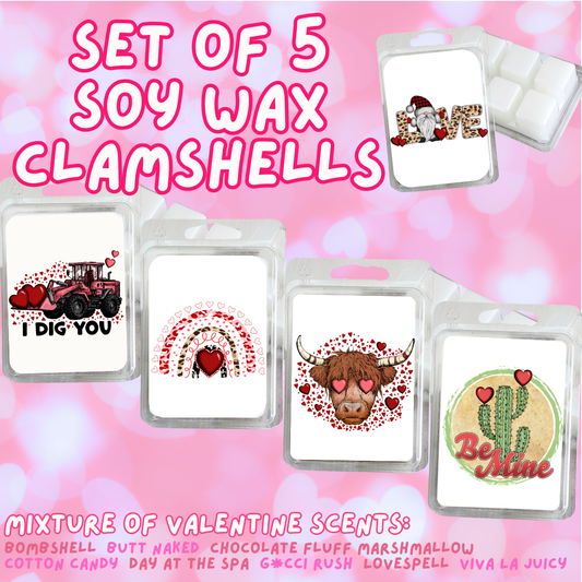 5 Piece Soy Wax Clamshell Set - Valentines #17