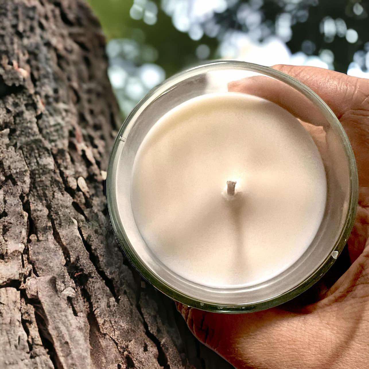 8oz Bamboo Glass Jar Candle - Cotton Candy